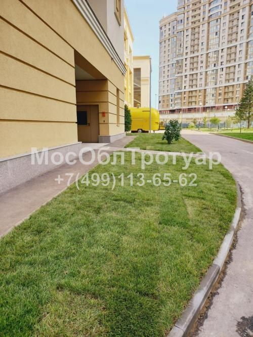 Укладка рулонного газона на териитории школьного двора в Москве - слайд 2