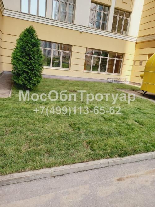 Укладка рулонного газона на териитории школьного двора в Москве - слайд 1