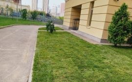 укладка рулонного газона на териитории школьного двора в москве